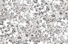 蓝白花卉图案纹理背景