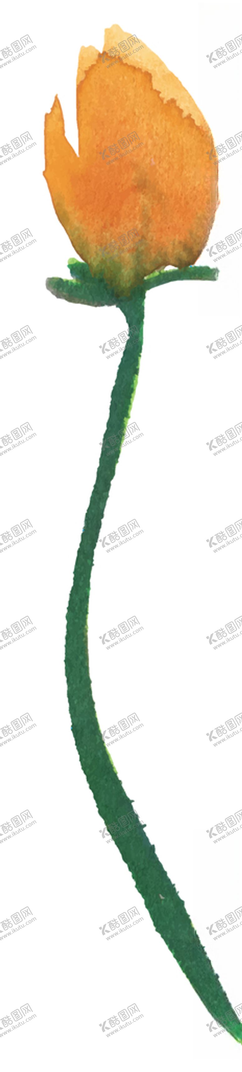 编号：68516310132155407179【酷图网】源文件下载-水彩创意花朵植物