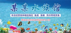 儿童节水族馆活动