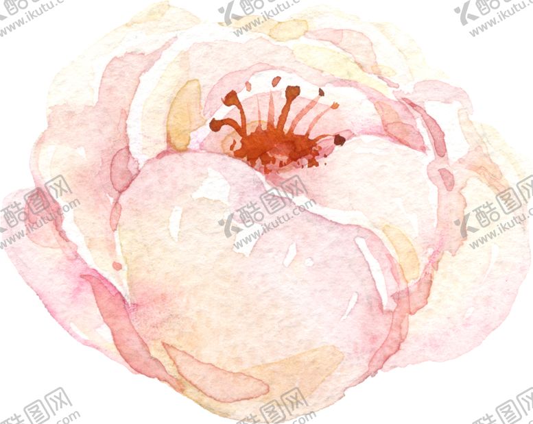编号：75817309271706031327【酷图网】源文件下载-水彩手绘花卉花朵植物