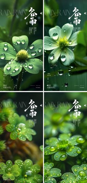 谷雨24节气水滴海报