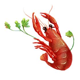 龙虾