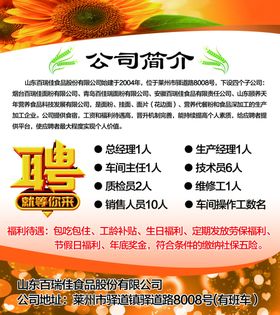 公司简介招聘展板招聘招聘刊板