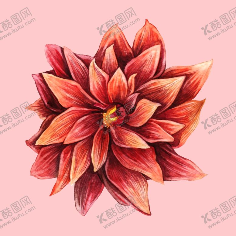 编号：44346609150533097034【酷图网】源文件下载-水彩植物