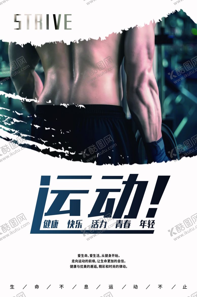 编号：12555110082229191337【酷图网】源文件下载-健身房海报