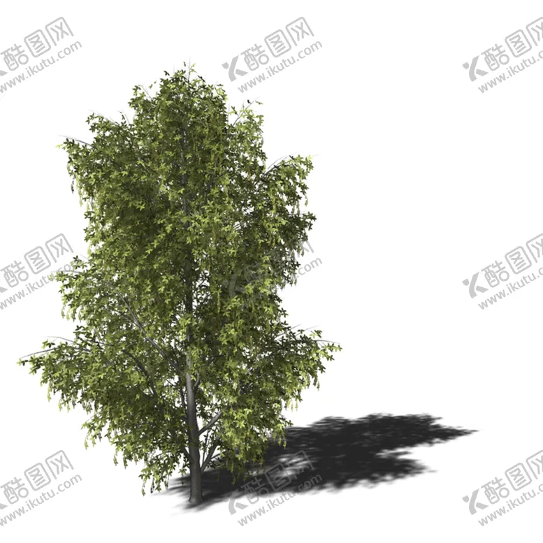 编号：35920610090622397640【酷图网】源文件下载-C4D模型 树木 