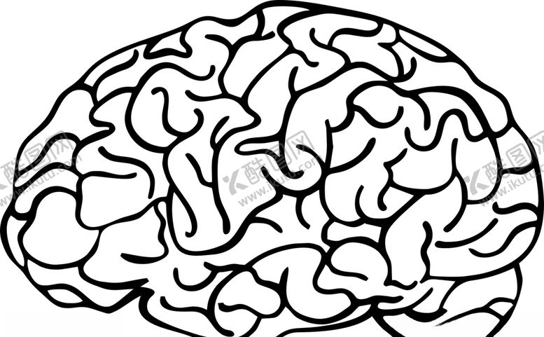 编号：80837909200059488038【酷图网】源文件下载-脑子