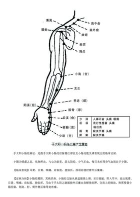 十二经脉