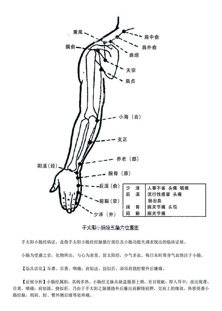 编号：46596912012249421772【酷图网】源文件下载-十二经脉