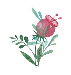 手绘清新植物