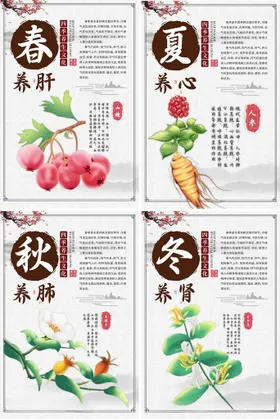春养肝春夏秋冬四季养生中医海报