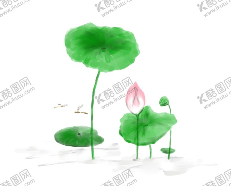 编号：99771104070100027261【酷图网】源文件下载-荷花元素