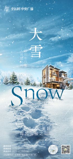 大雪小寒节气海报