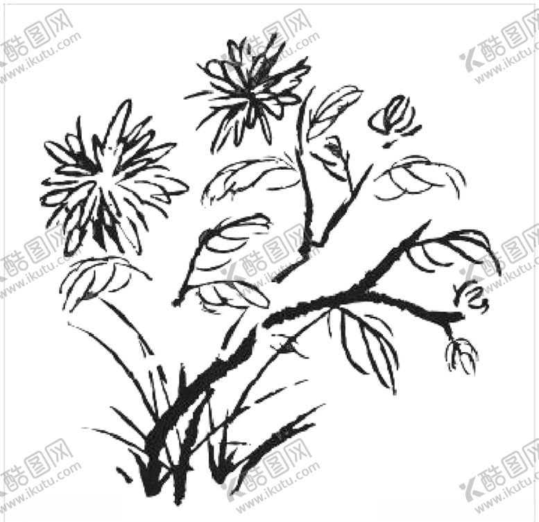 编号：36423007051620523050【酷图网】源文件下载-菊花水墨画矢量图