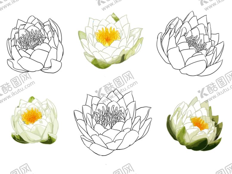 编号：50858209271627311368【酷图网】源文件下载-花卉素描