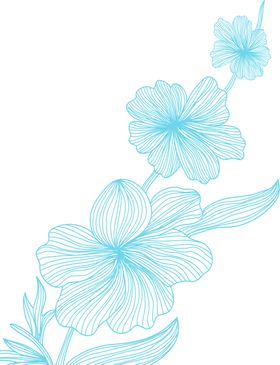 花素材矢车菊彩色康乃馨百合