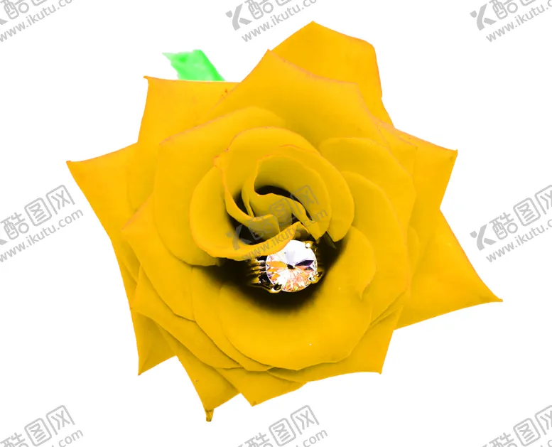 编号：92470306271641182615【酷图网】源文件下载-花素材