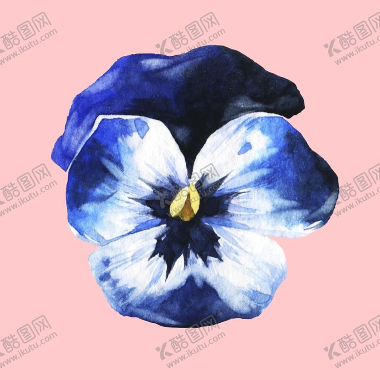 编号：12005910290538064771【酷图网】源文件下载-水彩植物
