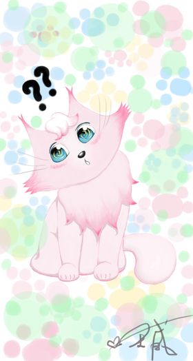 猫咪