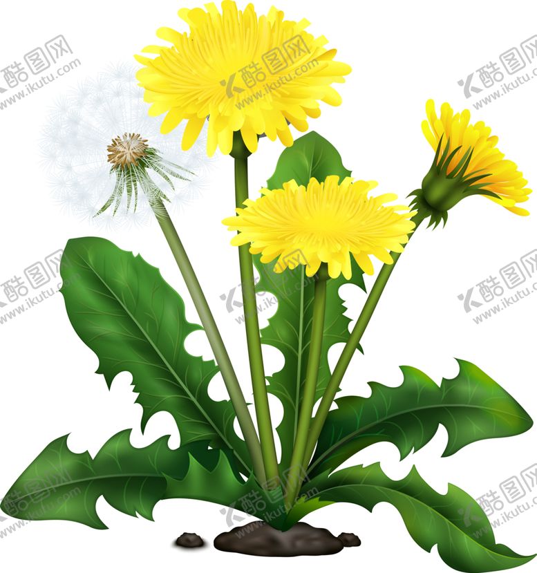 编号：40529201271709346335【酷图网】源文件下载-卡通手绘花卉
