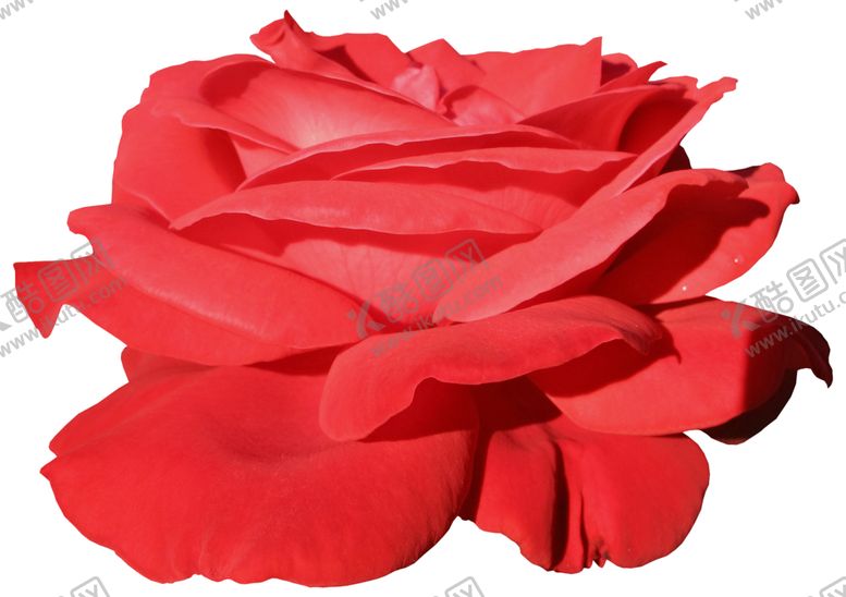 编号：68210109281344561299【酷图网】源文件下载-布艺花朵装饰