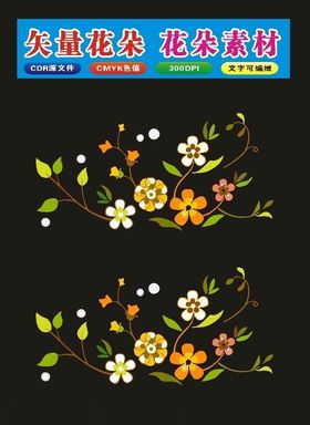 植物学花卉花