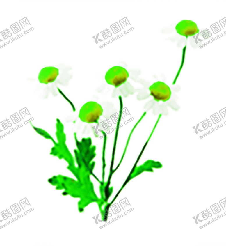 编号：13584406281401432050【酷图网】源文件下载-花素材
