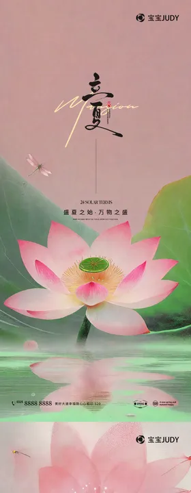 立夏节气海报二十四荷花蜻蜓唯美