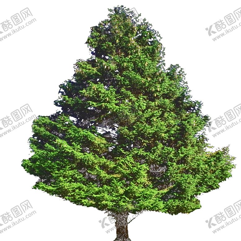 编号：58105009221053528374【酷图网】源文件下载-绿色植物