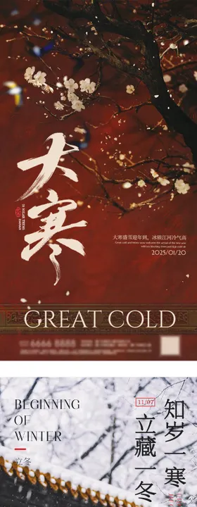 新中式小寒大寒节气餐饮海报