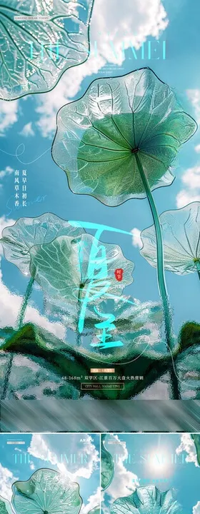 夏至小暑大暑荷叶仰视海报