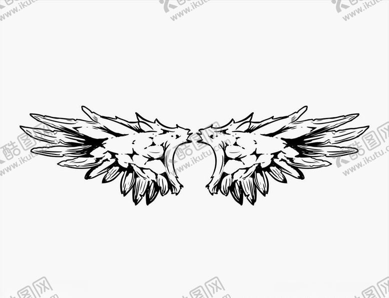 编号：98355109280229377083【酷图网】源文件下载-矢量翅膀