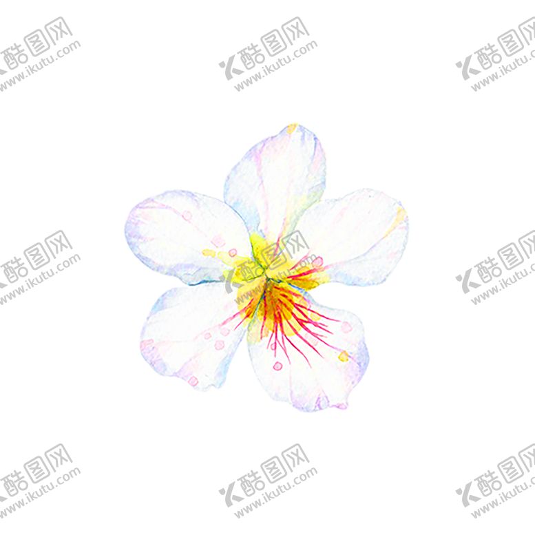 编号：34069807040226357915【酷图网】源文件下载-浪漫素材