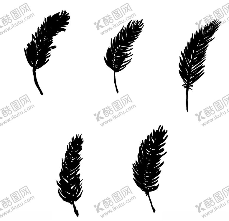 编号：18815304190929213438【酷图网】源文件下载-羽毛剪影