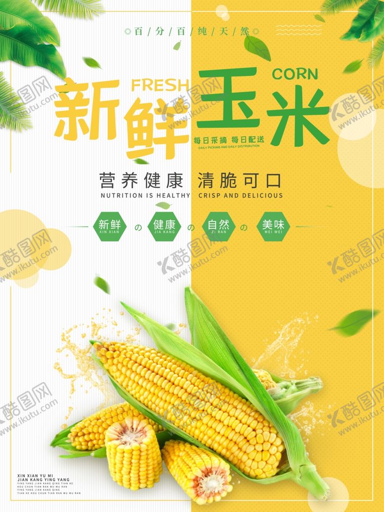 编号：17175311241947247182【酷图网】源文件下载-新鲜玉米