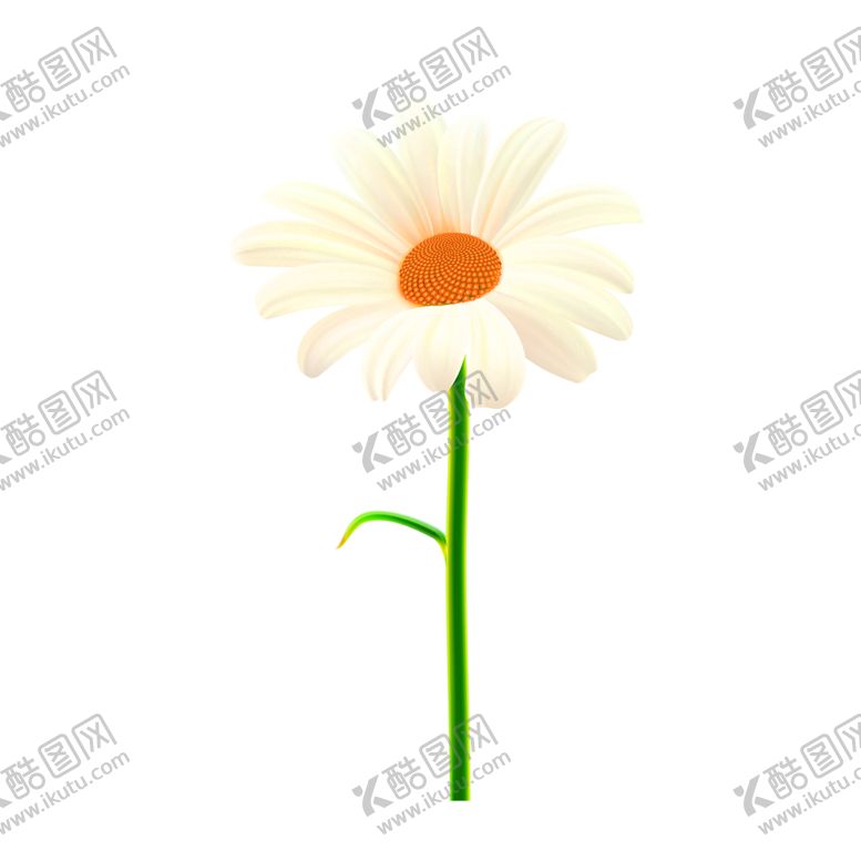 编号：84129605142123047188【酷图网】源文件下载-花素材