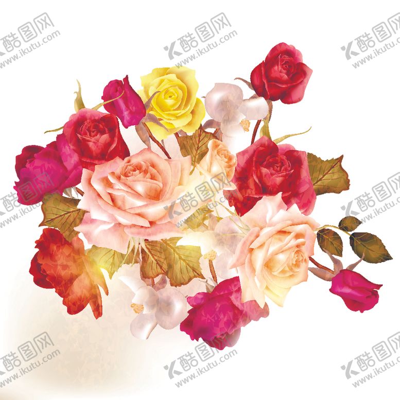 编号：52428909240037546072【酷图网】源文件下载-玫瑰花朵鲜花