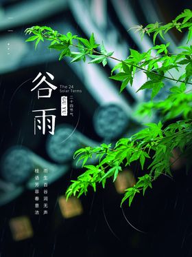 谷雨传统海报