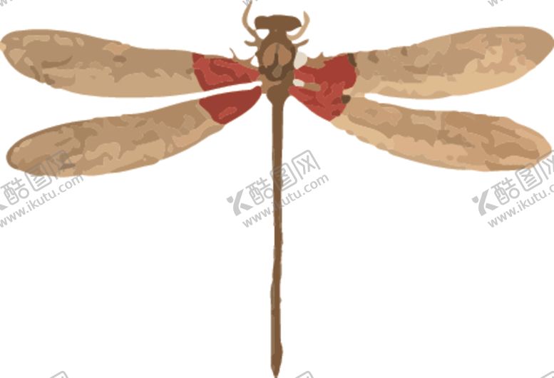 编号：34447010130111104622【酷图网】源文件下载-竹蜻蜓昆虫插画