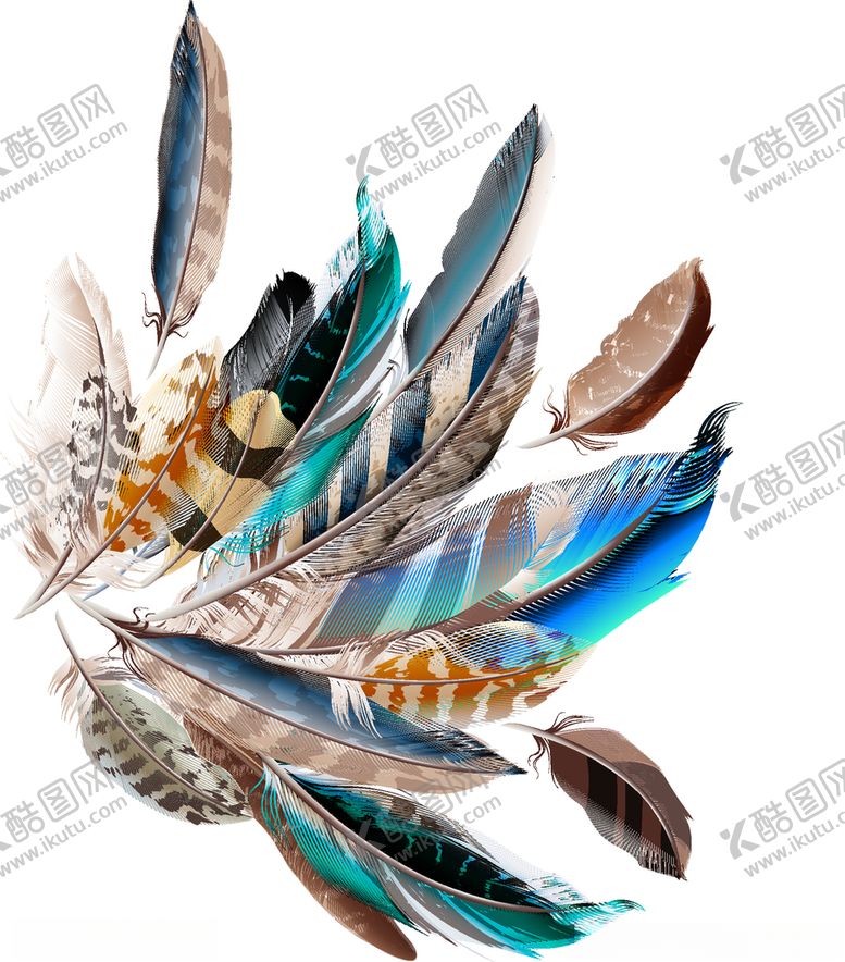 编号：53130509112118505475【酷图网】源文件下载-羽毛