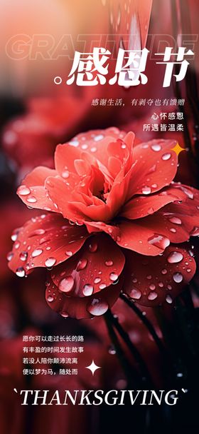 感恩节海报