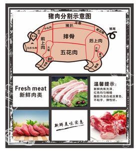 猪肉分割图