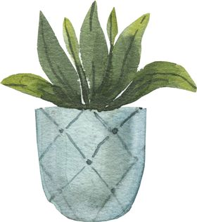 植物盆栽手绘