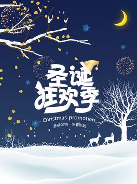 黑色圣诞狂欢节海报