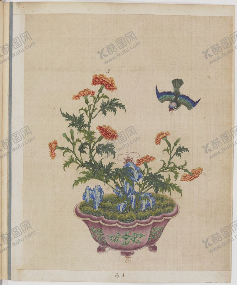 编号：78320204131347321996【酷图网】源文件下载-盆景花鸟