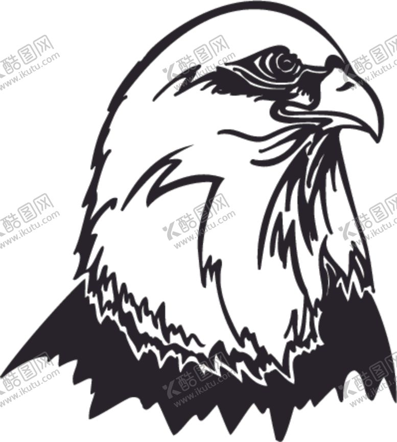 编号：41329502162313094621【酷图网】源文件下载-手绘鸟类插画