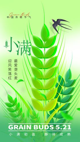 小满节气