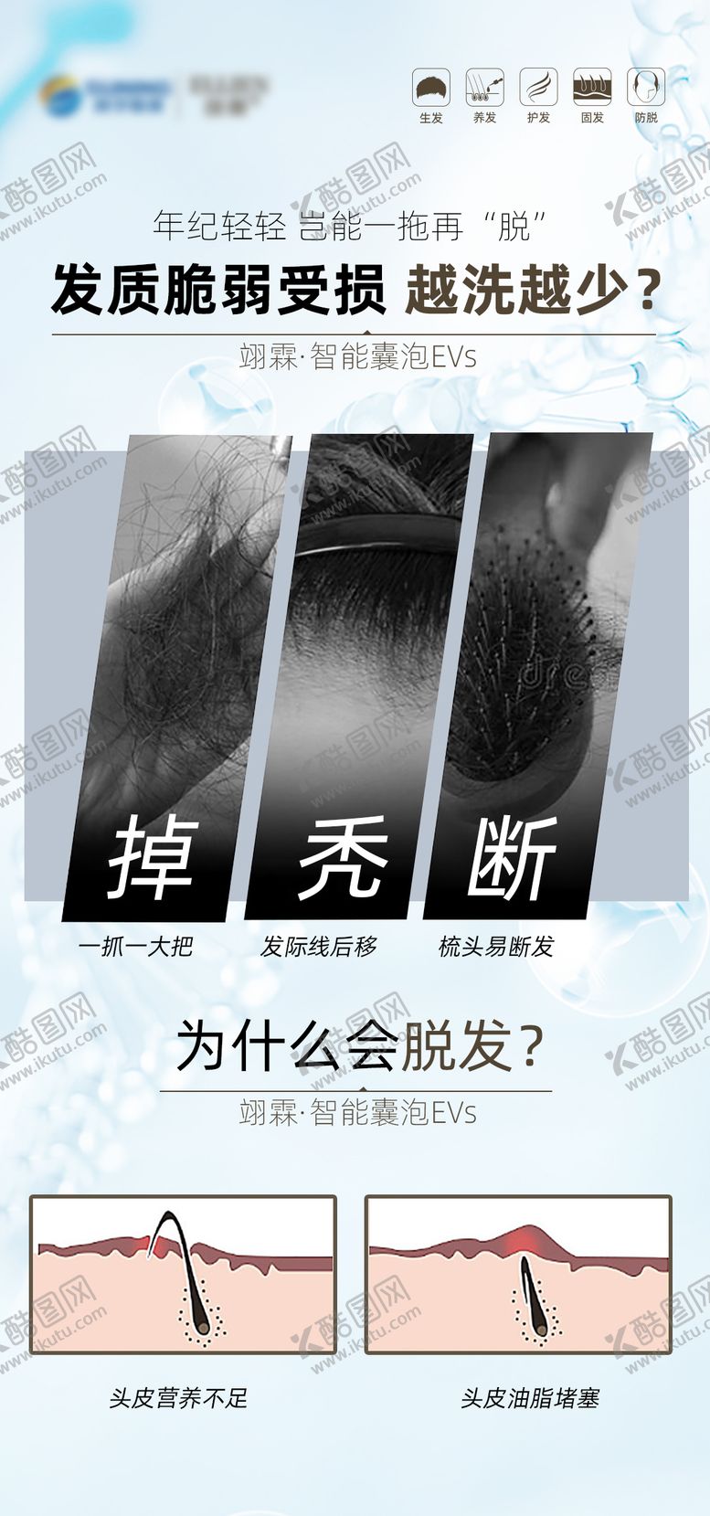 编号：63492106231409374020【酷图网】源文件下载-脱发难题要早解决简约海报