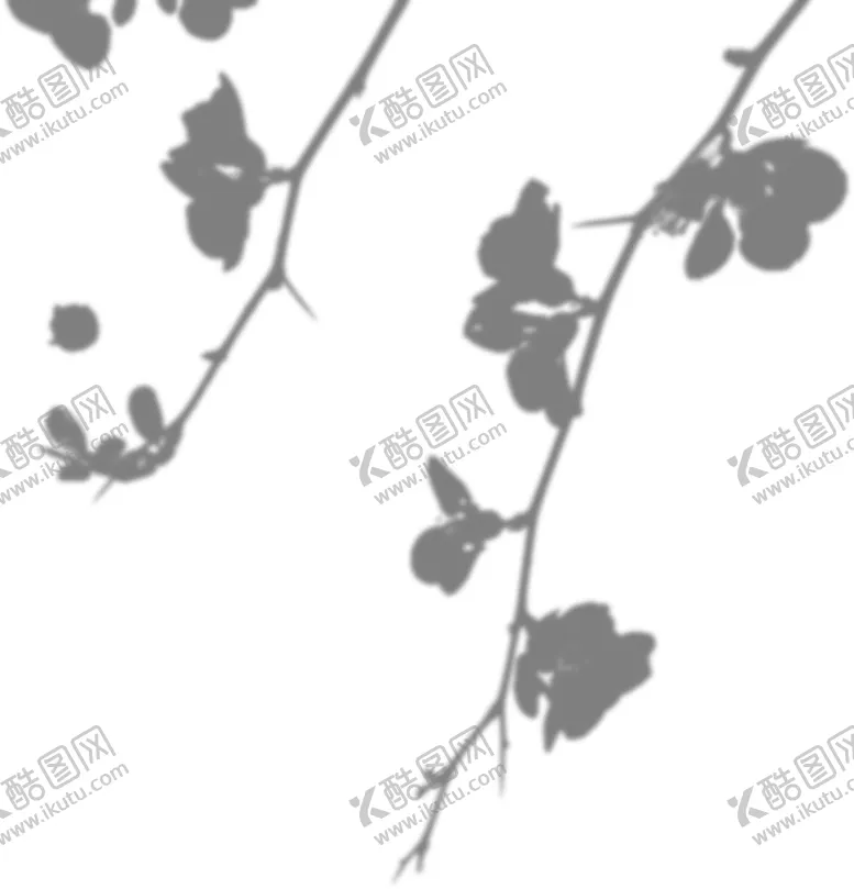 编号：90648709202303198456【酷图网】源文件下载-植物光影