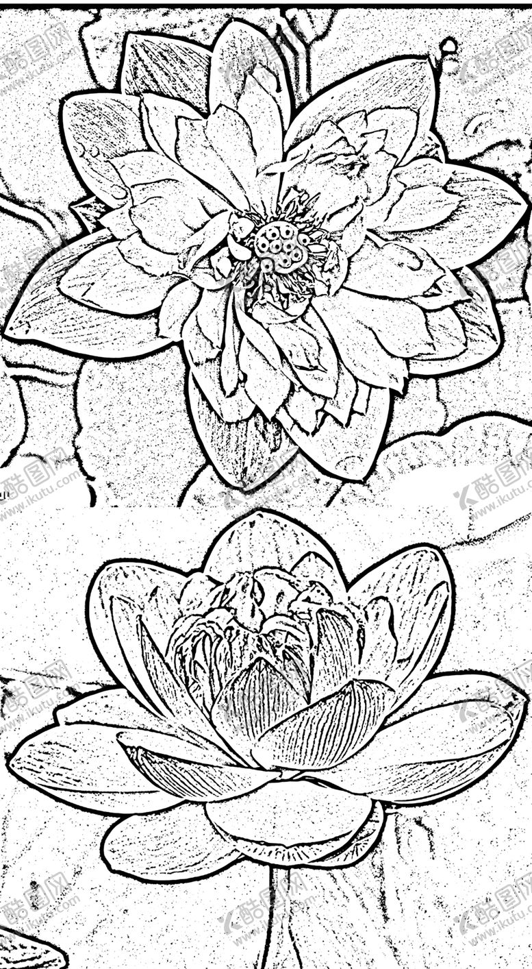 编号：34109709160907128570【酷图网】源文件下载-莲花白描荷花黑白图